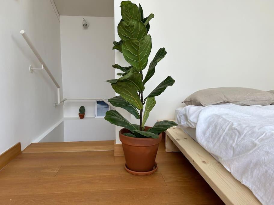 Casa Alegria Apartment Тренто Екстериор снимка