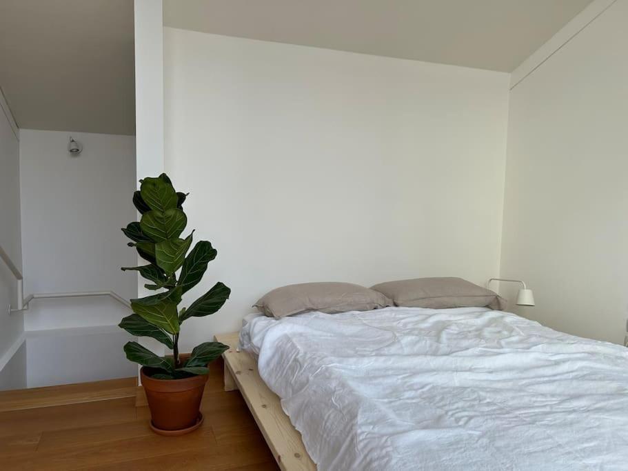 Casa Alegria Apartment Тренто Екстериор снимка