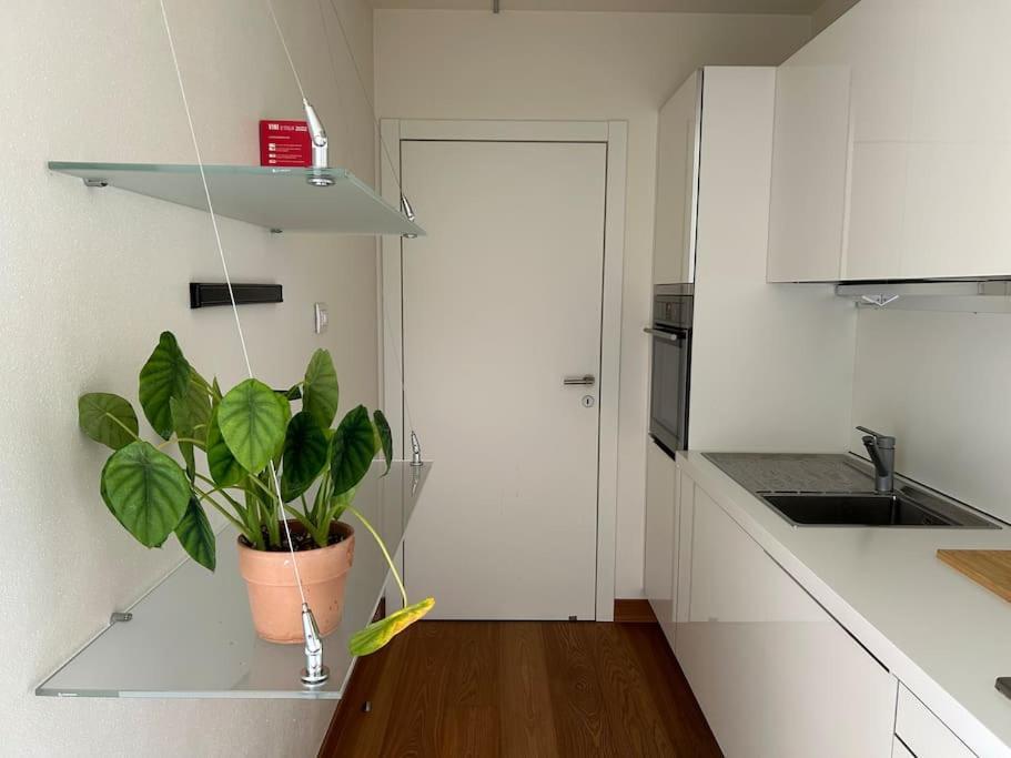 Casa Alegria Apartment Тренто Екстериор снимка